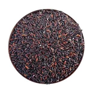 25年永祥龙血糯米东北农家黑米粽子紫江米奶茶当季新五谷杂粮酿酒