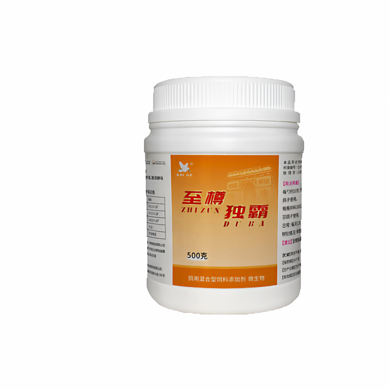 凯鸽子用至尊独霸植物鸟品不伤鸽