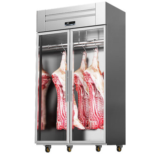 雪花冷藏保鲜柜牛羊肉单门雪花立式双门排酸柜商用