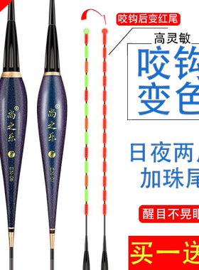 咬钩变色夜光漂浮漂重力感应夜钓