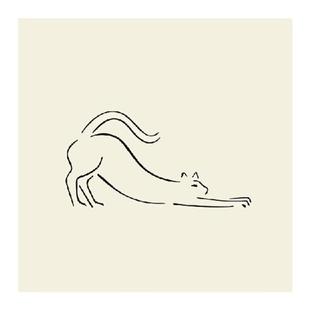 Picasso毕加索线描动物瓷砖贴纸厨房防油高级感墙贴厕所翻新贴