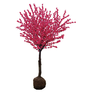 梅花树苗原生红梅骨里红腊梅浓香庭院花卉耐寒植物大型盆栽盆景