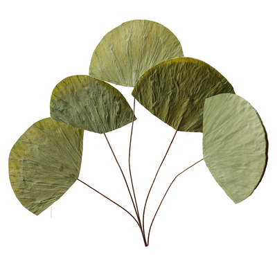 天然真干荷叶侘寂风禅意干花插花