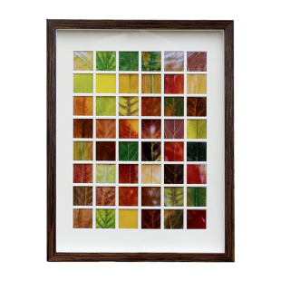 落叶相框48格树叶标本diy捡秋36宫格秋天格子叶子画框收集手工