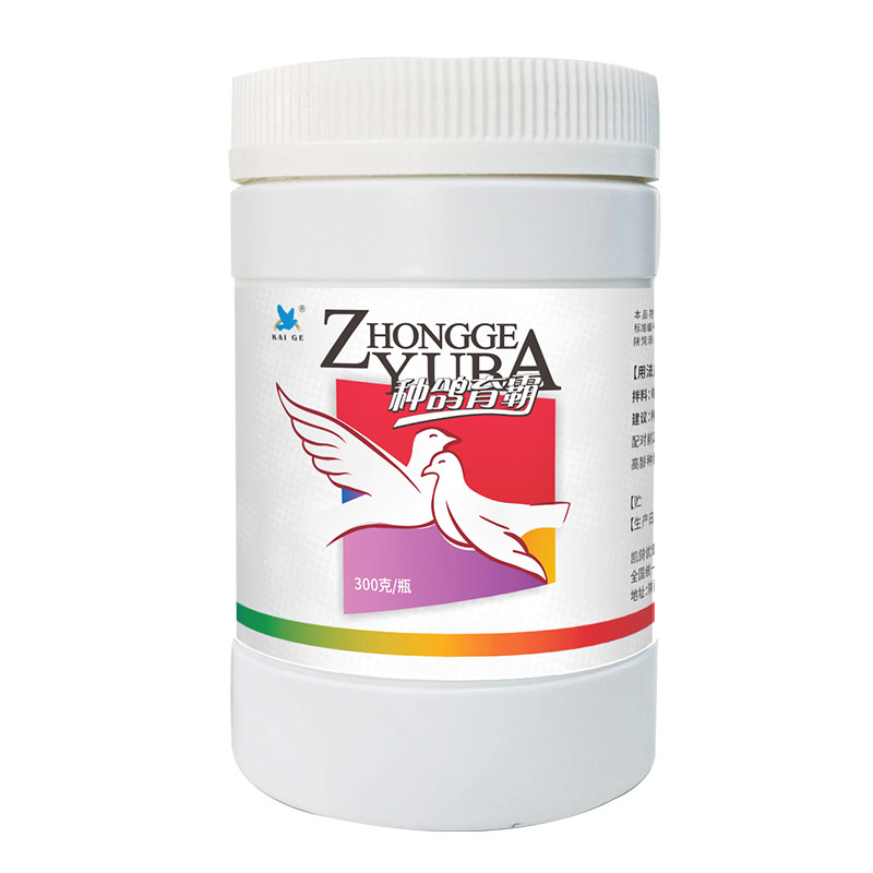凯鸽种鸽育霸强育种配对率鸽子用