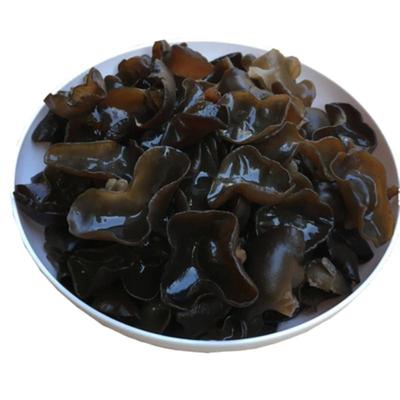 青川椴木黑木耳细木耳干货新品