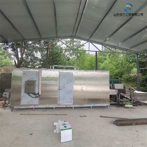 虎皮鸡爪速冻流水线 全自动萝卜土豆速冻机 连续式水果蔬菜速冻机