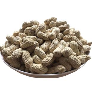 客家梅州平远东石花生天然日晒农家白晒水煮咸干自晒原味特产2斤
