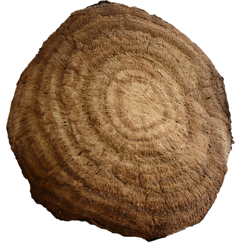 葛之味 野生老柴葛根片500g 年輪功效新鮮野葛片泡茶湯江西特產(chǎn)