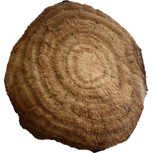 葛之味 野生老柴葛根片500g 年轮功效新鲜野葛片泡茶汤江西特产