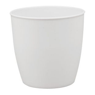 一次性稻壳杯子加厚环保餐具茶具喝茶功夫小茶杯喝水杯防烫饮水杯