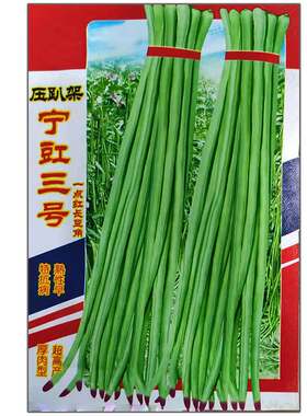 蔬菜春季高产爬藤豆角种子春季