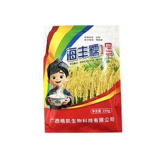 香糯长粒糯谷水稻种子晚稻海丰糯1号糯米种子大穗型产量高250g/袋