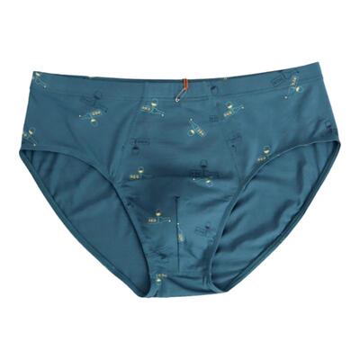 2条CYN创雅诺无侧缝莫代尔三角裤