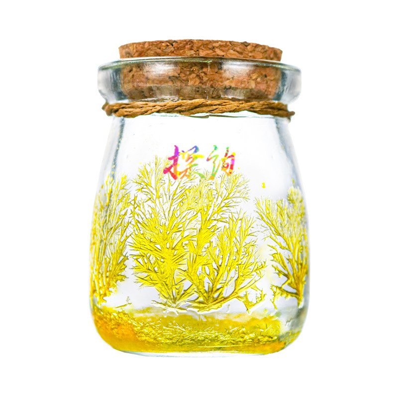 探询物理冰花烙水晶种植实验套装