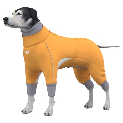 石墨烯蓄热防水防风狗狗棉服