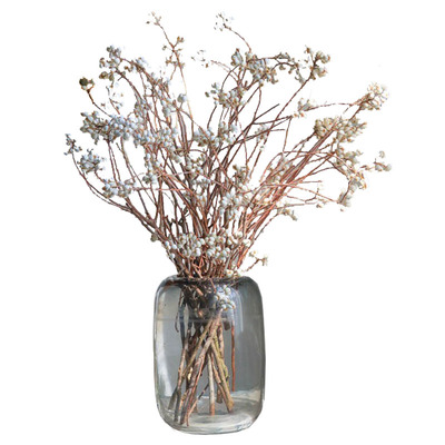 乌桕果真果圣诞材料天然薏米果