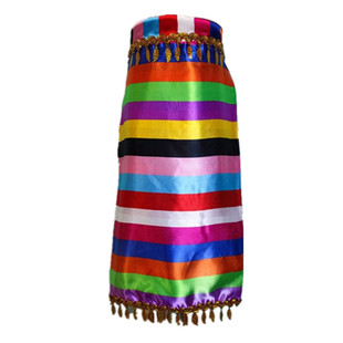 2022新疆藏族舞蹈演出七彩围裙配饰拉萨少数民族女广场舞服饰亮片