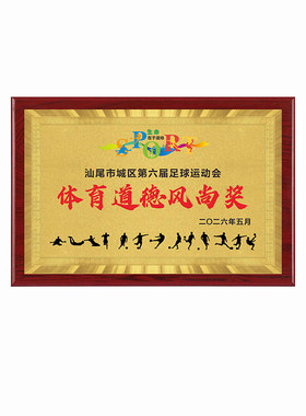 足球奖牌优秀组织道德风尚定制