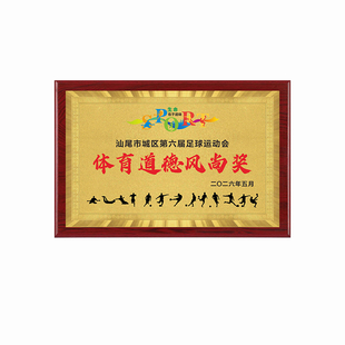足球奖牌优秀组织奖牌道德风尚奖牌足球体育事业牌匾定制足球奖杯
