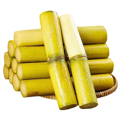 广西黄金甘蔗9斤当季新鲜脆甜