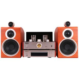 AVANCE/丹麦皇冠 ADV160BT 胆机组合音响发烧hifi套装台式家用