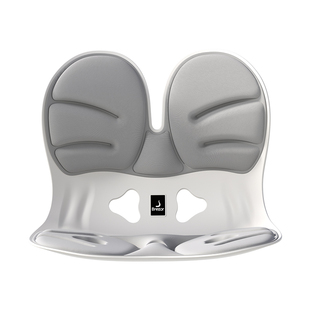 倍立正护腰坐垫久坐护腰神器办公室人体工学座姿椅靠背一体腰靠垫