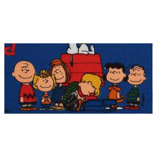 日本进口牛津棉面料版权布清原手工艺品舒适上衣服装布史努比日常