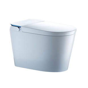 CESX12H TOTO官方3C安全认证智能马桶自动家用语音泡沫坐便器