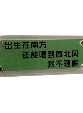 出生在南方还能喝到西北风我不理解 稀奇古怪趣味抽象磁吸冰箱贴