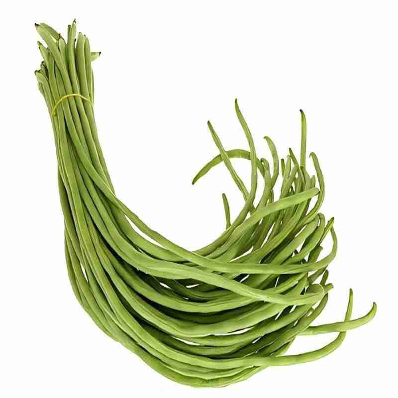 无架豆种子豆角不搭架四季豆种籽阳台豆种长豇豆蔬菜孑原厂彩包