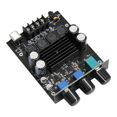 YJHIFI双芯数字功放板双声道