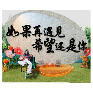 花店网红打卡背景墙拍照区装饰户外露营风民宿小院氛围感布置造景