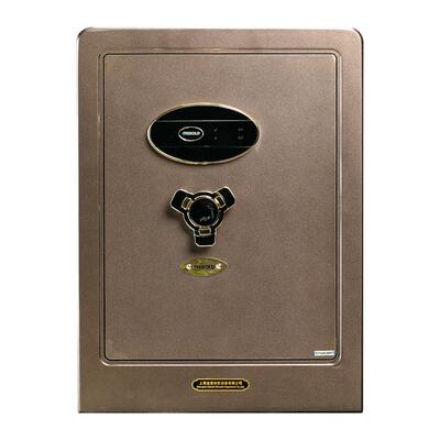 迪堡智能家用全钢防盗指纹保险柜