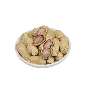 小熊探蜜龙岩水煮花生500g×5