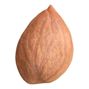 2025新疆特产原味生甜杏仁干500g原味生南杏仁新货零食特产坚果