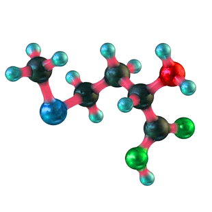 全谱氨基酸浓度检测20项 氨基酸检测20项 氨基酸含量测定