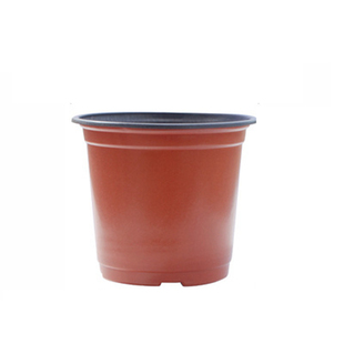 双色杯花盆多肉种植育苗营养钵塑料盆一次性加厚园艺绿植盆育苗盆