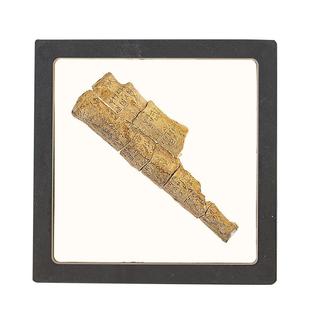 国家图书馆甲骨文体验套装考古挖掘盲盒带土儿童diy手工生日礼物