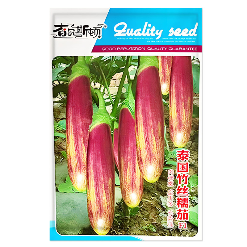 泰国竹丝糯茄子种子蔬菜种子
