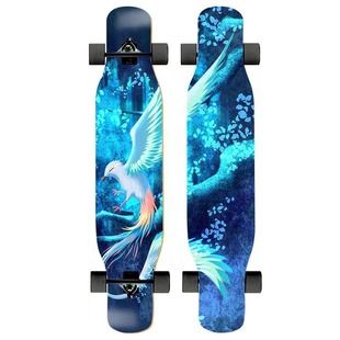 长板滑板男女生初学者成人酷刷街青少年双面专业版公路入门大舞板