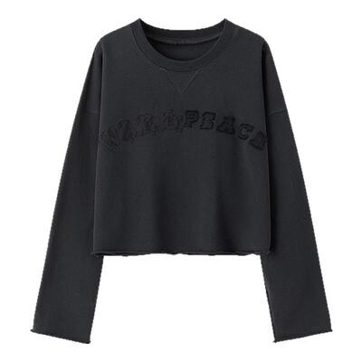 100长绒棉刺绣长袖t恤女休闲百搭