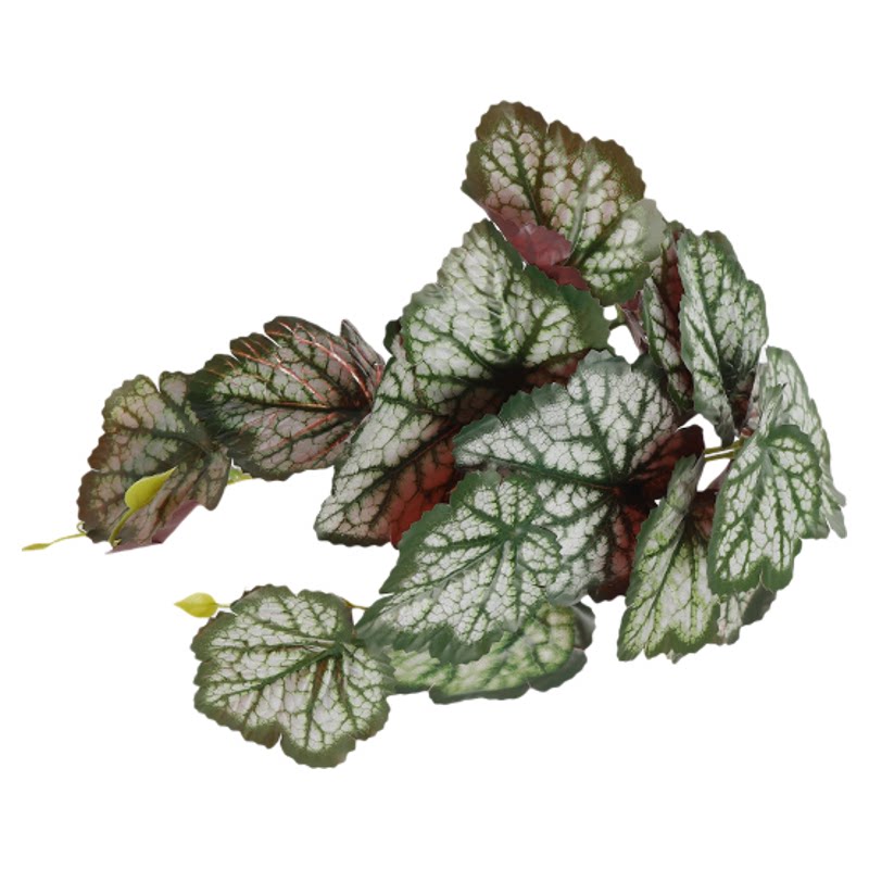 高仿爬箱造景仿真植物绿植藤蔓叶假植雨林爬虫饲养箱装饰带吸盘