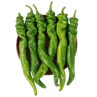 农家自种螺丝椒青椒香辣薄皮辣椒菜新鲜蔬菜现摘香辣辣椒超特辣子
