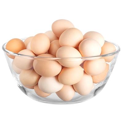 透明玻璃碗耐高温微波炉专用器皿