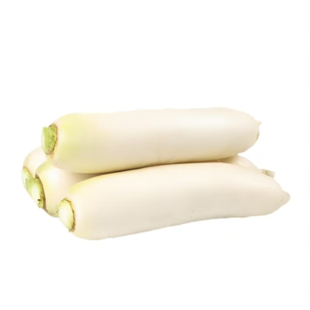 短叶十三早熟白萝卜种子高产白萝卜耐热四季阳台庭院种植蔬菜种子