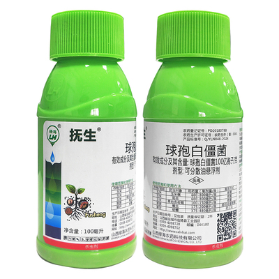 绿海 球孢白僵菌100亿孢子悬浮剂  小菜蛾玉米螟地下害虫杀虫剂