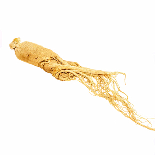 东北吉林抚松生晒参长白山特产整枝干人参大六年根散装白参500g