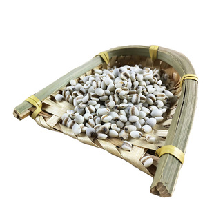 2斤1000g新货福建浦城官路小薏米苡仁祛五谷杂粗粮湿天气特产级然