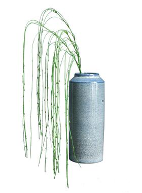 假花仿真花干花柳枝条绿植电视柜
